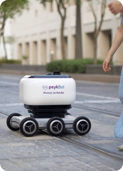 DELIVERYX , peykbot , delivery robots